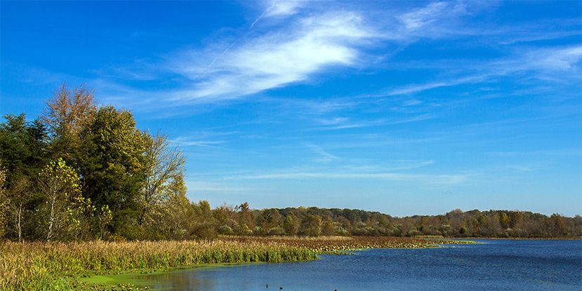 Richart Lake in October at Muscatatuck National Wildlife Refuge #1 (near Seymour, Indiana) — original digital image © Martha Marks, marthamarksphotography.com, all rights reserved