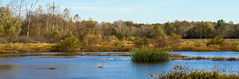Marsh, lake, and woodland in October at Muscatatuck National Wildlife Refuge #2 (near Seymour, Indiana) — original digital image © Martha Marks, marthamarksphotography.com, all rights reserved